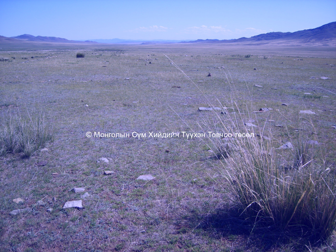 Зүүн-Хойд талаас авсан